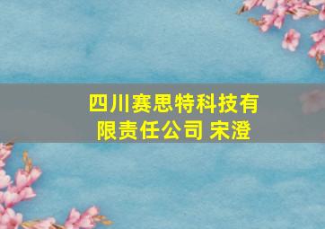 四川赛思特科技有限责任公司 宋澄